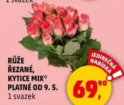 Penny Market RŮŽE ŘEZANÉ, KYTICE MIX, 1 svazek nabídka