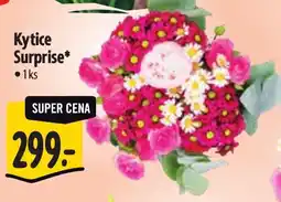 Albert Kytice Surprise nabídka