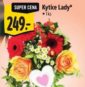 Albert Kytice Lady nabídka