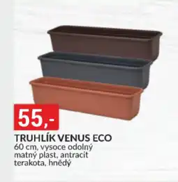 Baumax Truhlík venus eco nabídka
