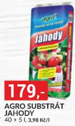 Baumax AGRO Substrát jahody nabídka