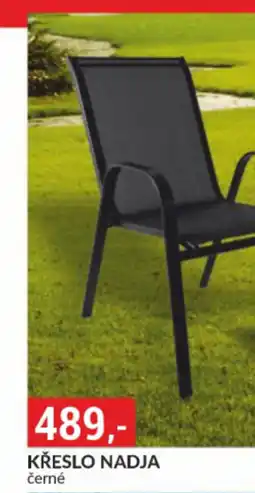 Baumax Křeslo nadja nabídka