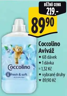 Albert Coccolino Aviváž nabídka