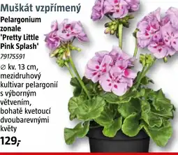 Bauhaus Muškát vzpřímený nabídka