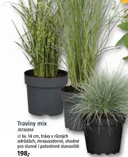 Bauhaus Traviny mix nabídka
