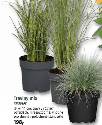 Bauhaus Traviny mix nabídka