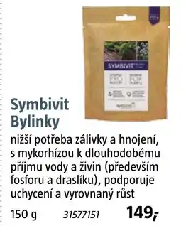 Bauhaus Symbivit Bylinky nabídka