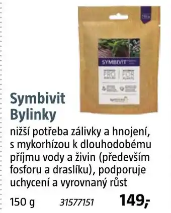 Bauhaus Symbivit Bylinky nabídka