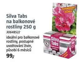 Bauhaus Silva Tabs na balkonové rostliny nabídka