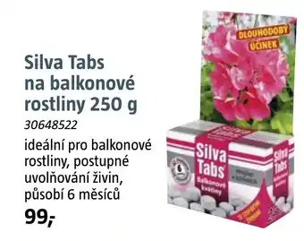 Bauhaus Silva Tabs na balkonové rostliny nabídka