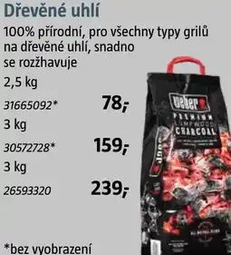 Bauhaus Dřevěné uhlí nabídka
