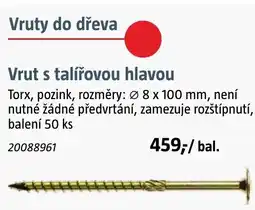 Bauhaus Vrut s talířovou hlavou nabídka