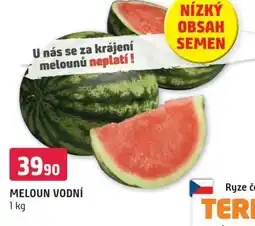 Terno MELOUN VODNÍ nabídka