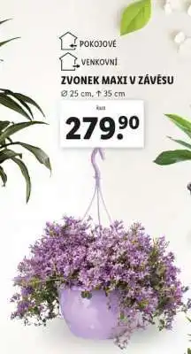 Lidl ZVONEK MAXI V ZÁVĚSU nabídka