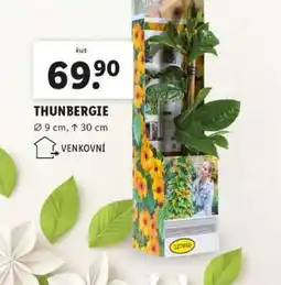 Lidl THUNBERGIE nabídka