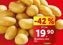 Lidl Brambory rané nabídka