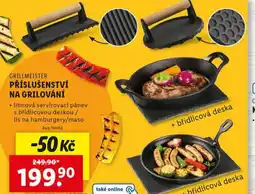 Lidl Příslušenství na grilování nabídka