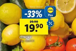 Lidl Citrony nabídka