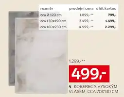 XXXLutz Koberec s vysokým vlasem nabídka