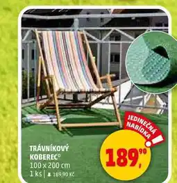 Penny Market TRÁVNÍKOVÝ KOBEREC 100 x 200 cm, 1 ks nabídka