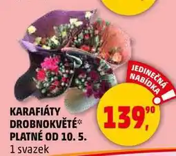 Penny Market KARAFIÁTY DROBNOKVĚTÉ, 1 svazek nabídka