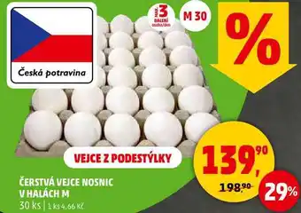 Penny Market ČERSTVÁ VEJCE NOSNIC V HALÁCH M, 30 ks nabídka