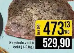 Jip Kambala velká celá (1-2 kg) nabídka