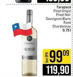 Jip Tarapacá Pinot Grigio Pinot Noir Sauvignon Blanc Rosé Chardonnay 0,75l nabídka