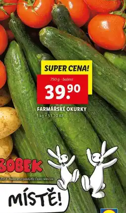 Lidl FARMÁŘSKÉ OKURKY, 750 g nabídka