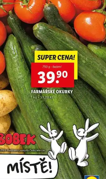 Lidl FARMÁŘSKÉ OKURKY, 750 g nabídka