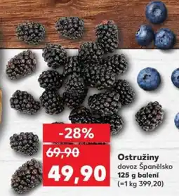Kaufland Ostružiny nabídka