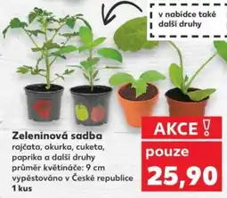 Kaufland Zeleninová sadba nabídka