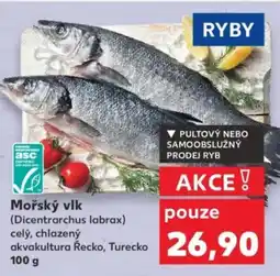 Kaufland Mořský vlk nabídka
