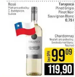 Jip Tarapacá Pinot Grigio Pinot Noir Sauvignon Blanc 0,75l nabídka