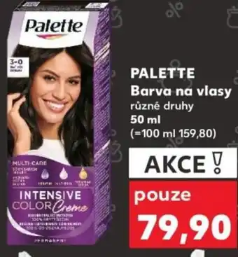 Kaufland PALETTE Barva na vlasy nabídka