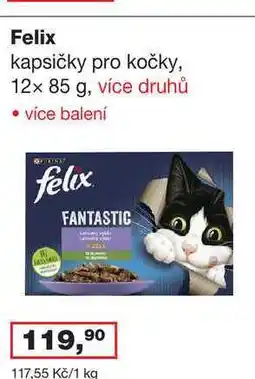 Ráj drogerie Felix kapsičky pro kočky, 12x 85 g, více druhů nabídka
