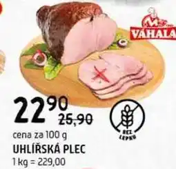 Terno Uhlířská plec 100g nabídka