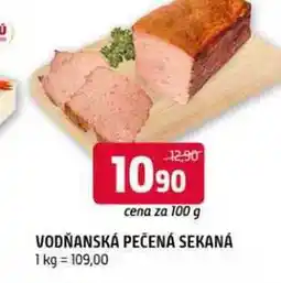 Terno Vodńanská pečená sekaná 100g nabídka