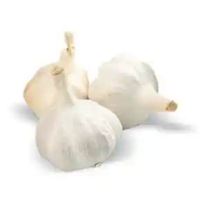 Terno Česnek 1 kg nabídka