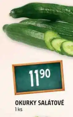 Terno Okurky salátové 1ks nabídka