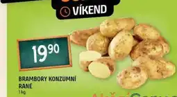 Terno Konzumní brambory raně 1kg nabídka