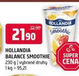 Terno Hollandia balance smoothie 230g nabídka
