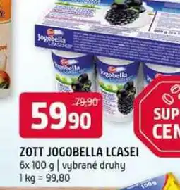 Terno Zott jogobella lcasei 6x 100 g vybrané druhy nabídka