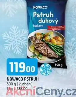 Terno Nowaco Pstruh duhový kuchaný 500 g nabídka