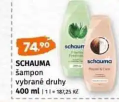 Terno Schauma šampon vybrané druhy 400 ml nabídka