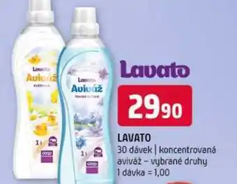 Terno Lavato koncentrovanȧ aviváž vybrané druhy nabídka