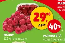 Penny Market Maliny nabídka