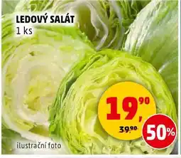 Penny Market Ledový salát nabídka