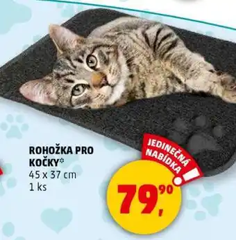 Penny Market Rohožka pro kočky nabídka