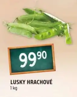 Terno Lusky hrachové nabídka